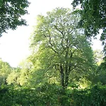 Vemmetofte Praestegard Faxe