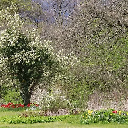 Vemmetofte Praestegard 3* Faxe