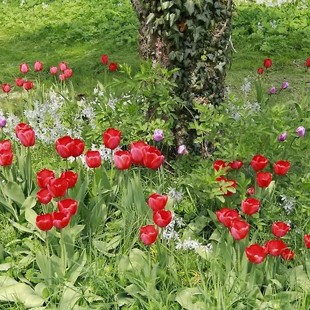 Vemmetofte Praestegard Bed and breakfast