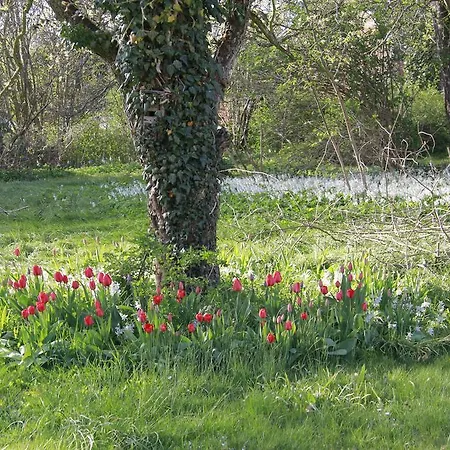 Bed and breakfast Vemmetofte Praestegard