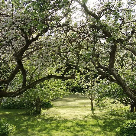 Vemmetofte Praestegard 3*