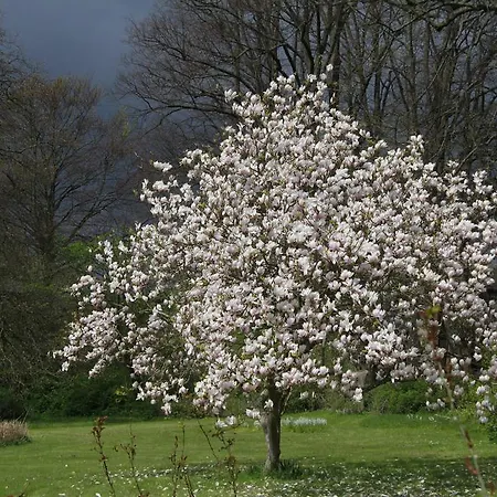 Vemmetofte Praestegard Faxe