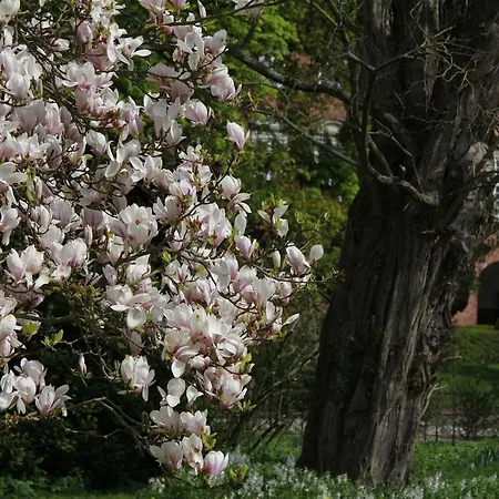 Bed and breakfast Vemmetofte Praestegard 3*