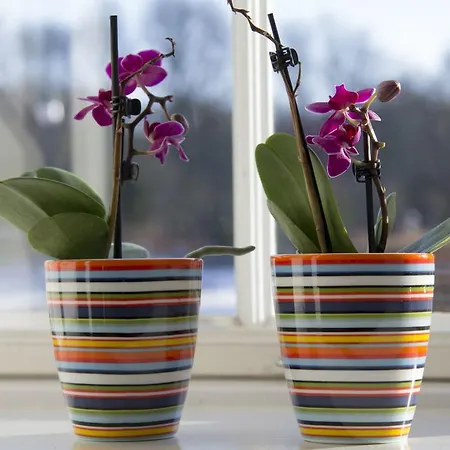 Vemmetofte Praestegard