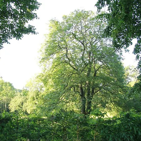 Vemmetofte Praestegard Faxe