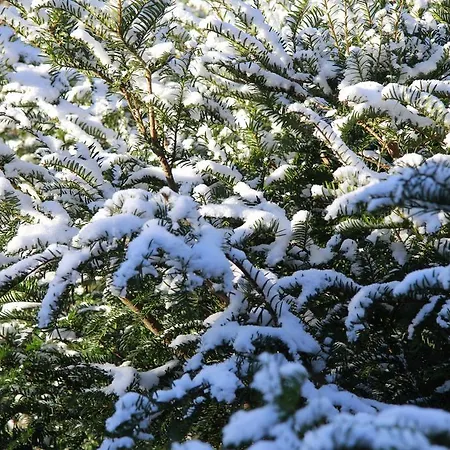 Bed and breakfast Vemmetofte Praestegard