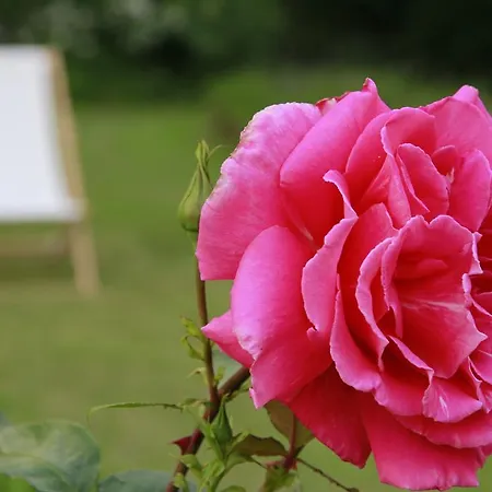 Bed and breakfast Vemmetofte Praestegard