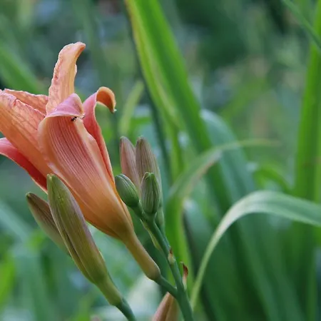 Vemmetofte Praestegard